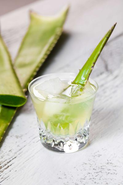 aloe vera haut Bio Aloe Vera Gel 2in1  Feuchtigkeit fr Haut & Haar