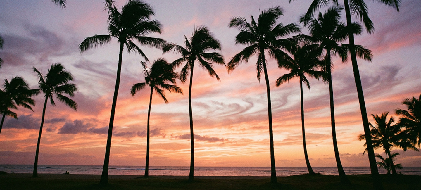 Silhouettes of a group of palm trees against a colorful sunset sky with wispy clouds.