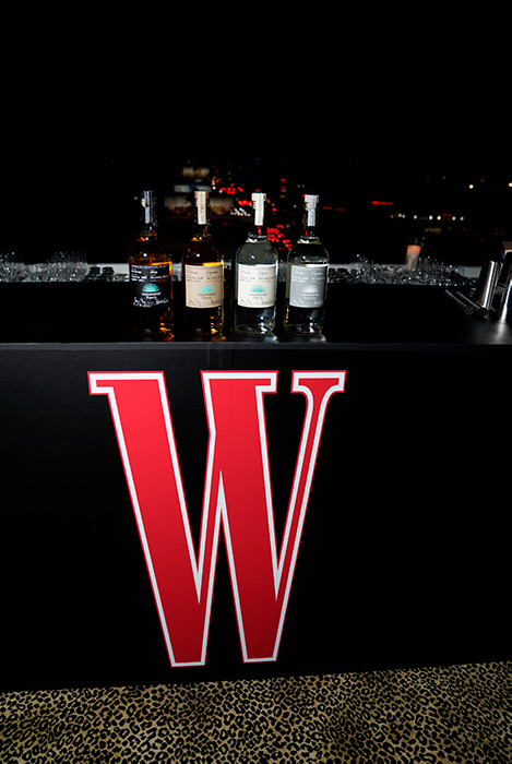 W Magazine Best Performances Party 2024 1