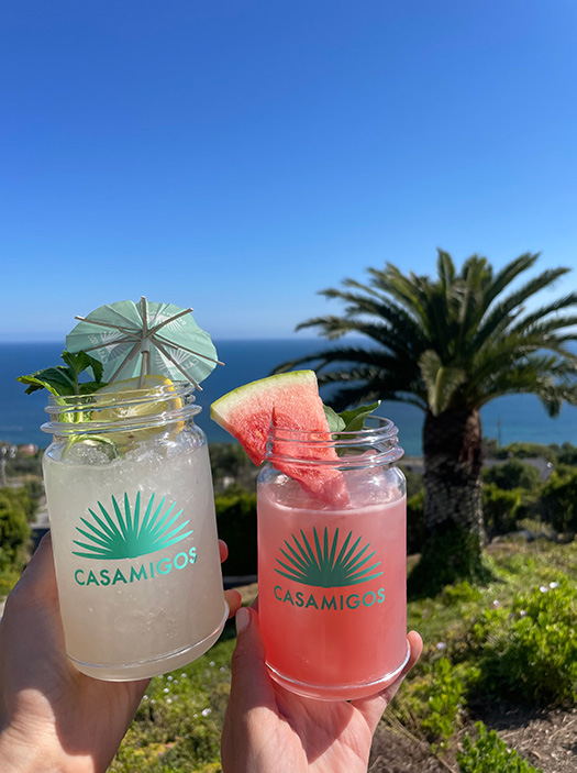 Elisha and Renee Herbert’s Birthday Picnic 2