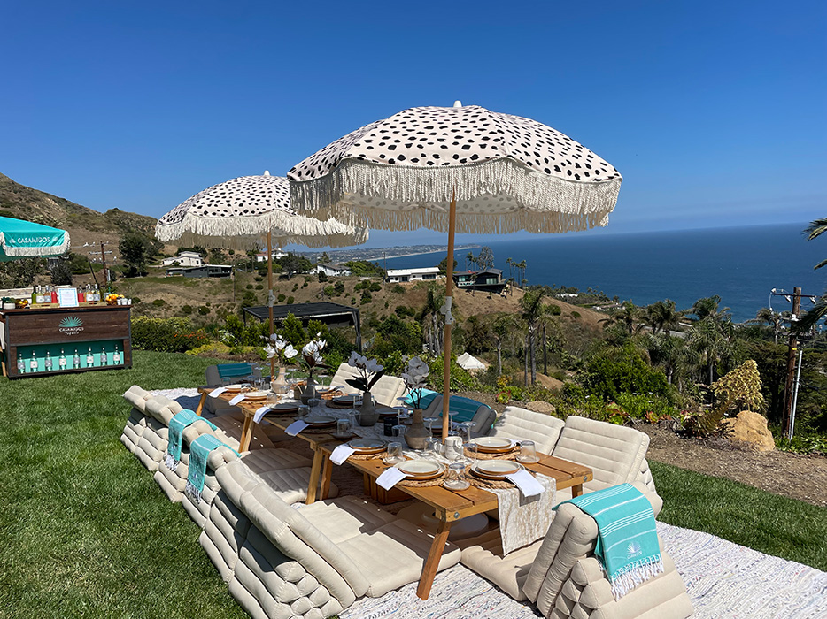 Elisha and Renee Herbert’s Birthday Picnic 1