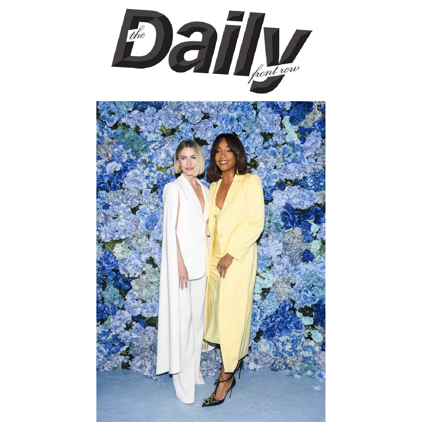 Press Item Image