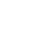 Play icon for the button