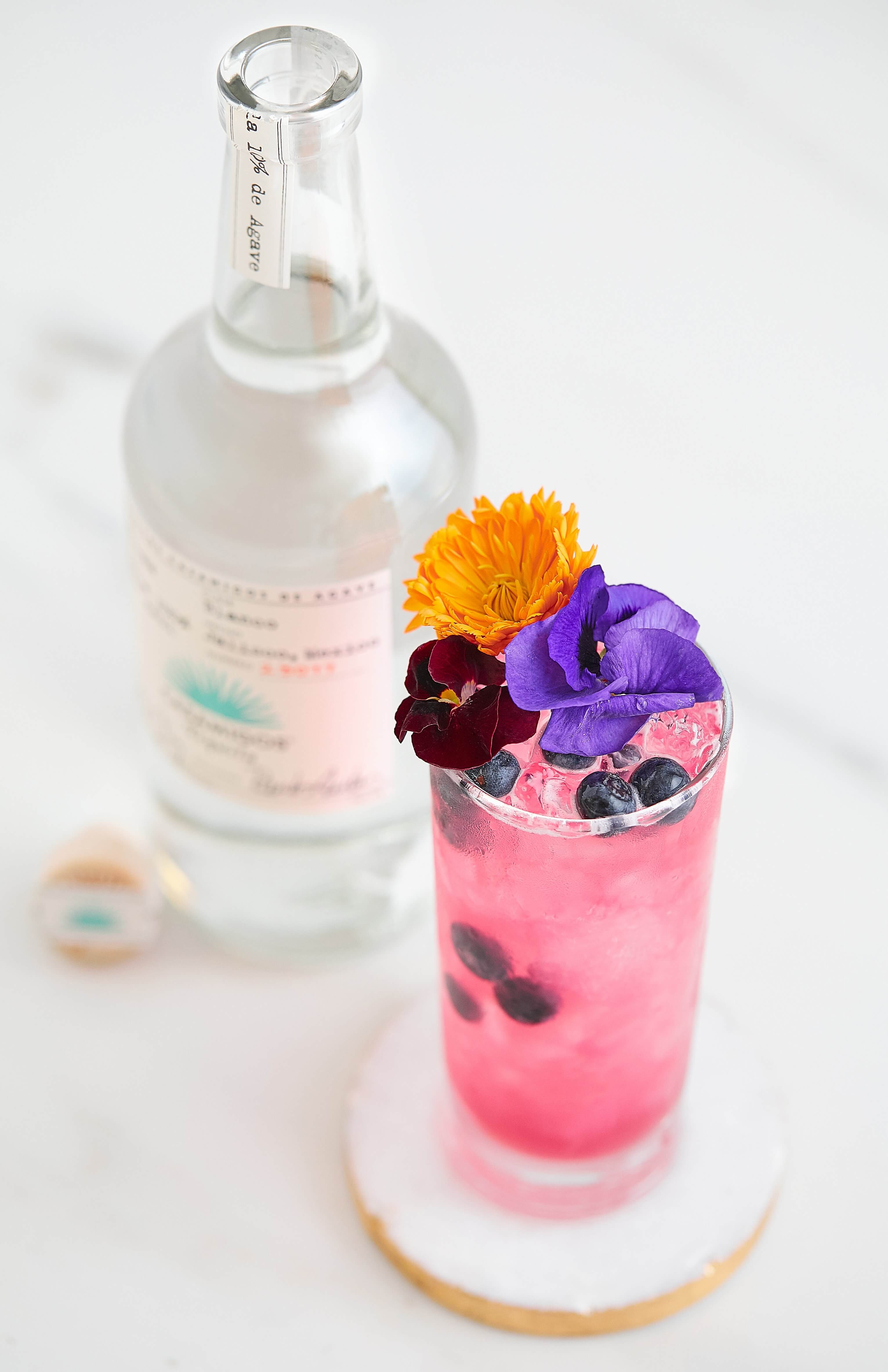 Ginger Berry Lemonade Hero