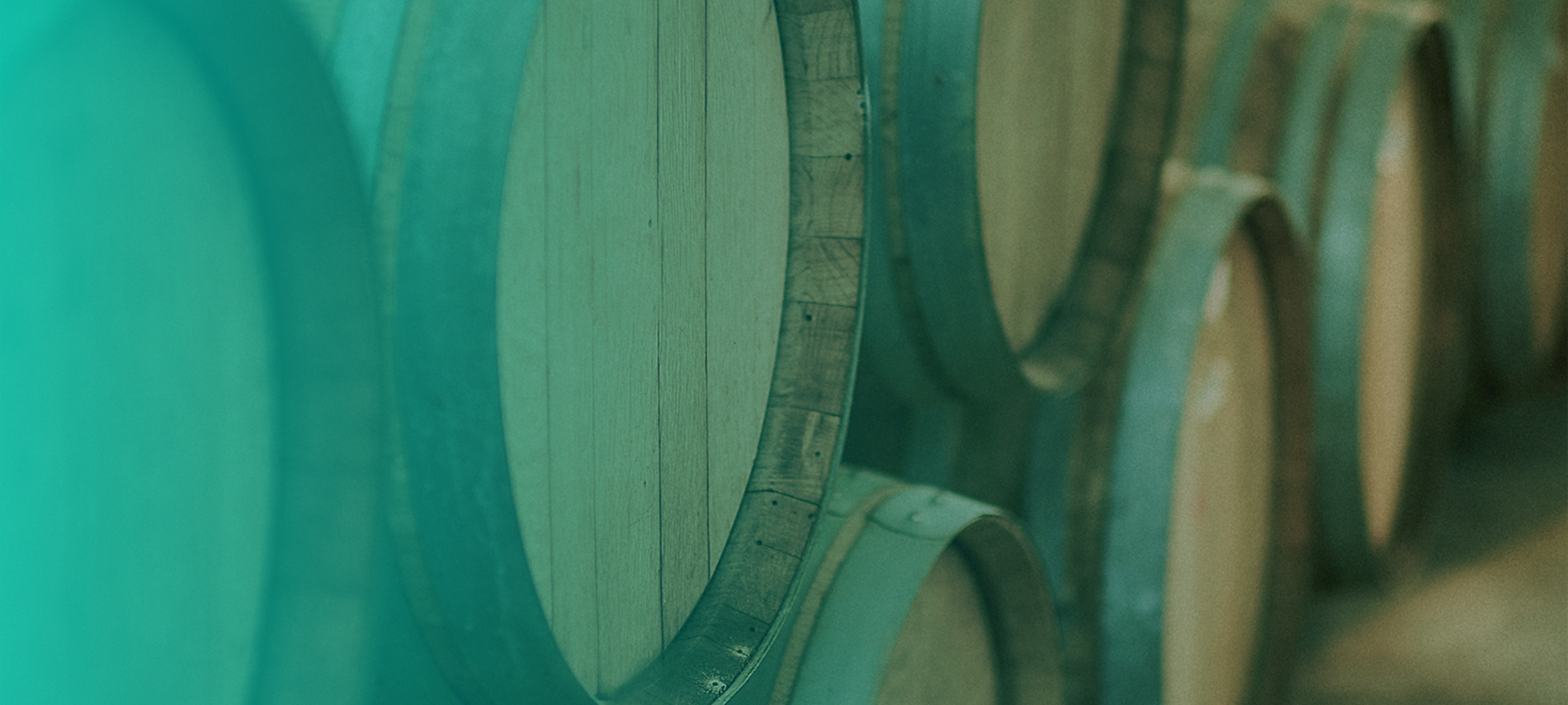Oak barrels stacked on top of each other on their side with a turquoise gradient overlay on the left side of the image.