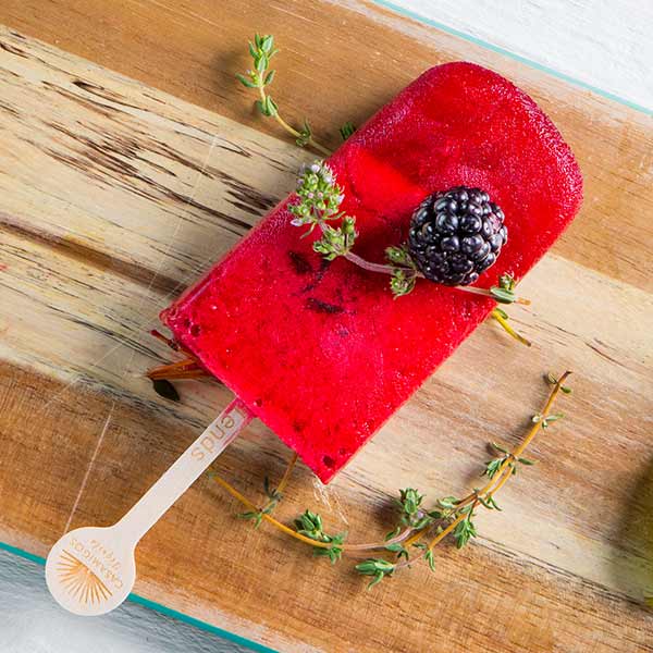 Blackberry Thyme Popsicle Secondary