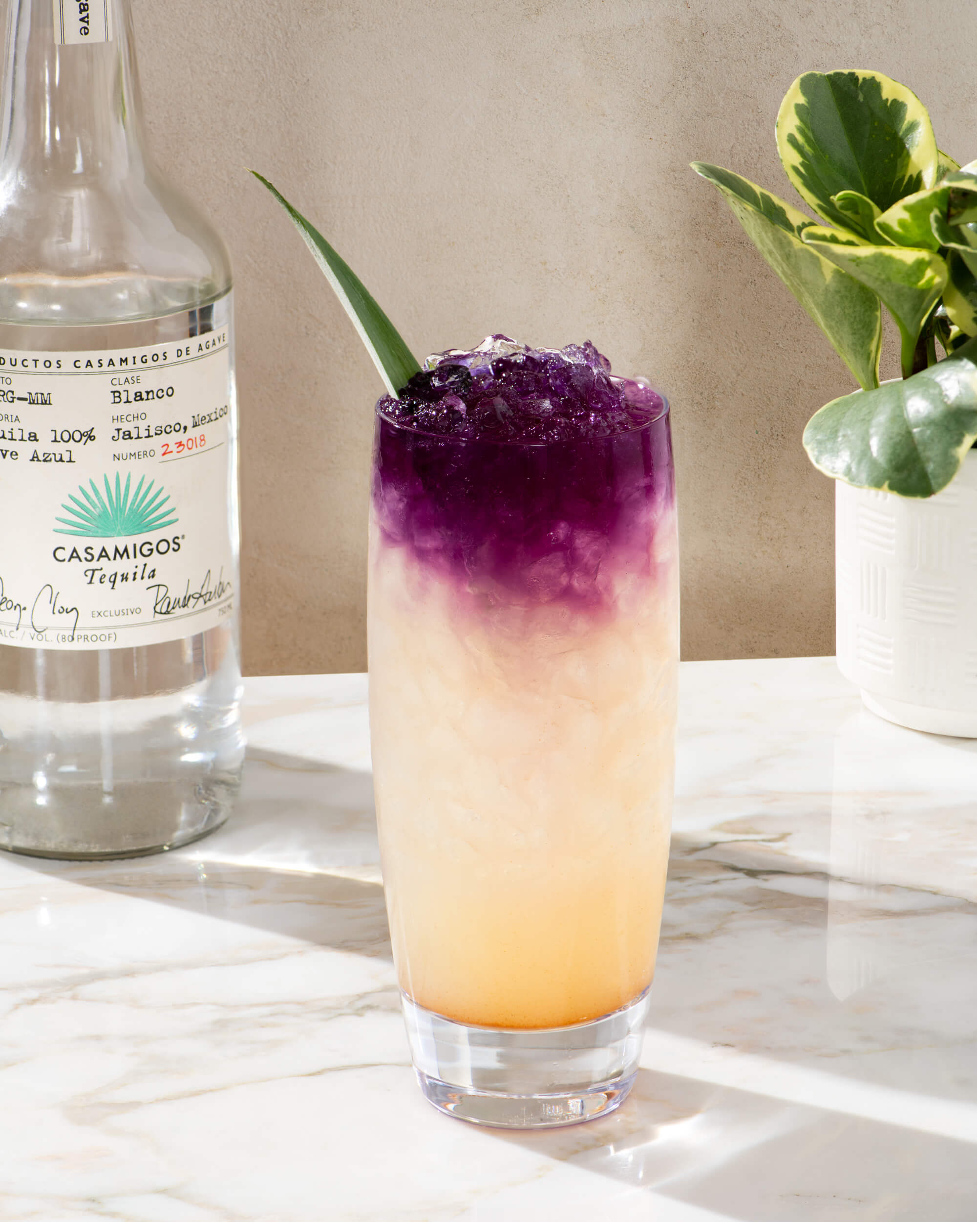 Tropical Pina Secondary