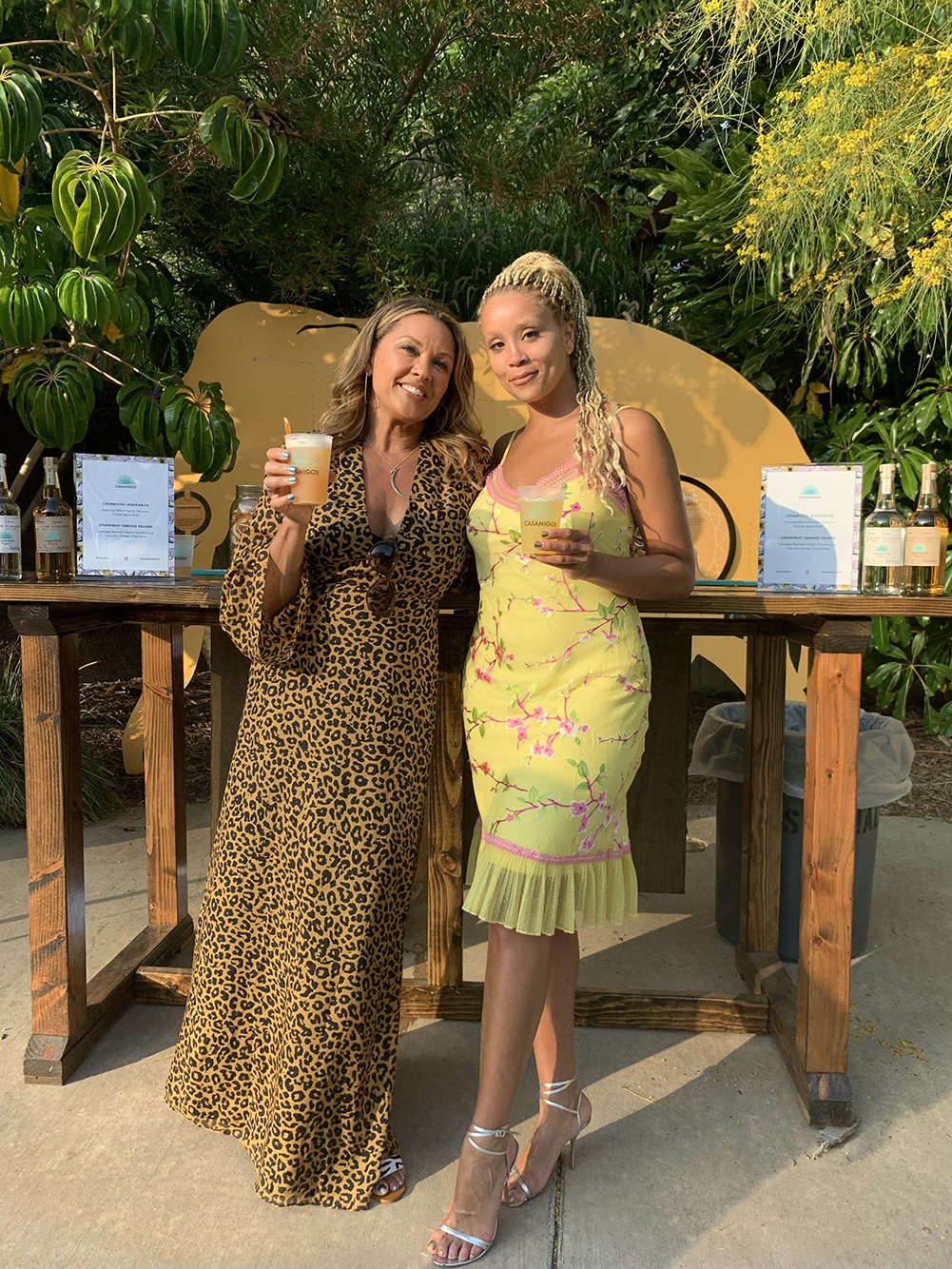 Vanessa Williams/Jillian Hervey Birthday Party Hero
