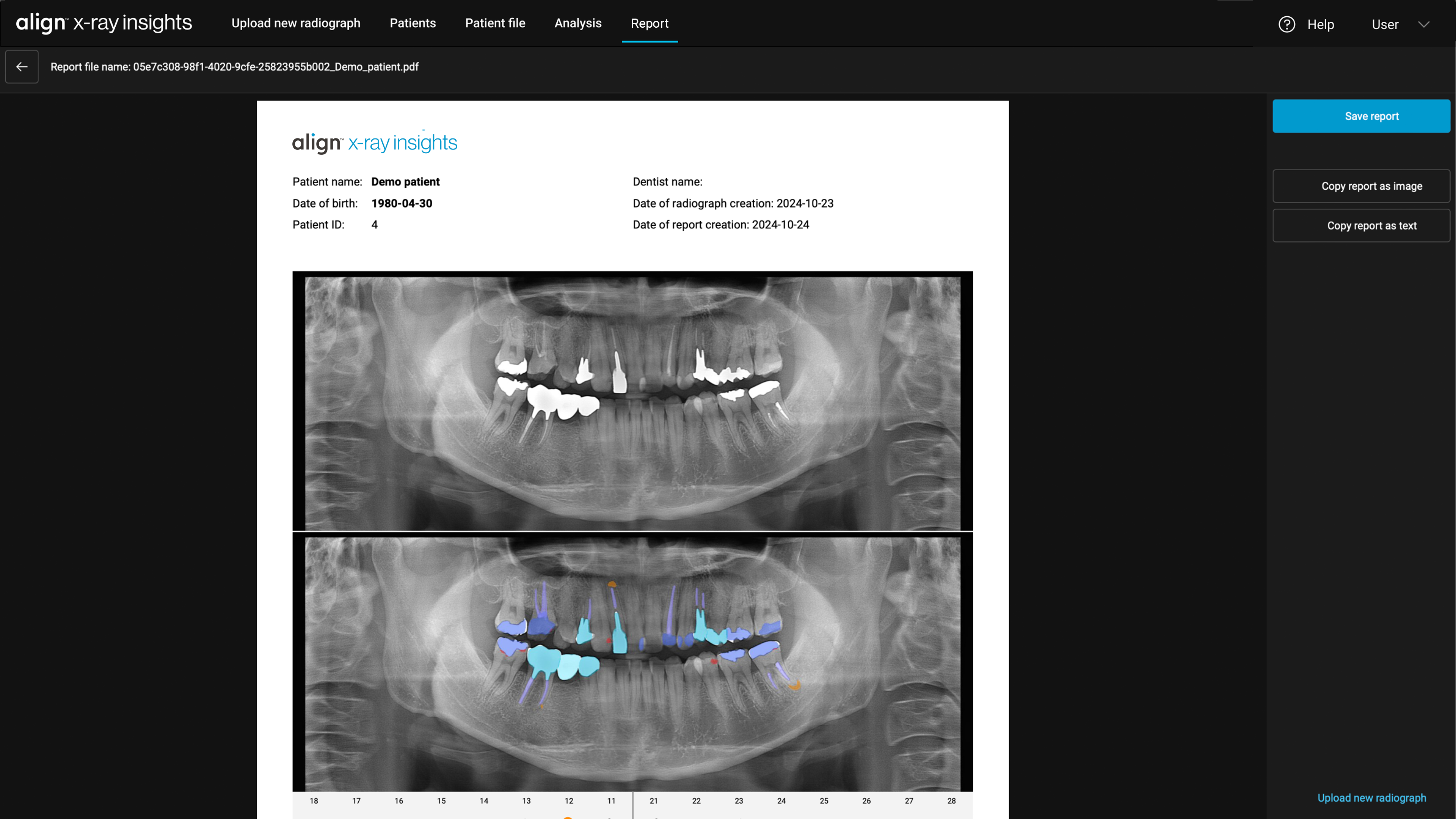 Confirm findings and generate a detailed report.​