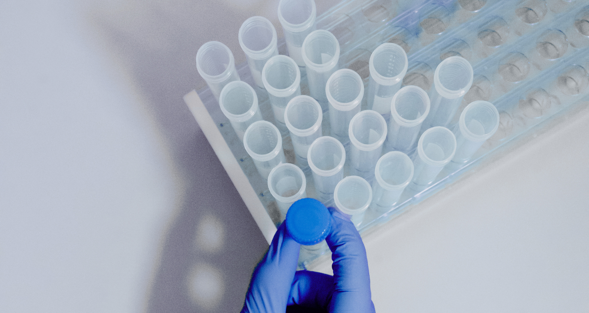 Untitled design (44)