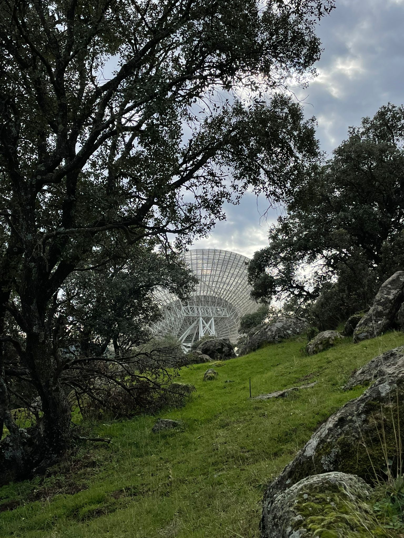 Territorio Ectoplasma 3