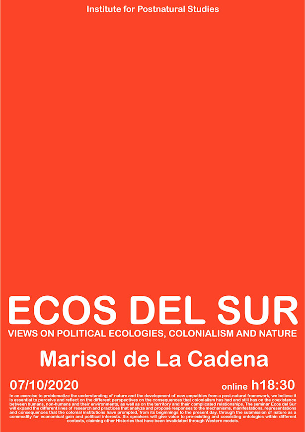 Poster Ecos del Sur