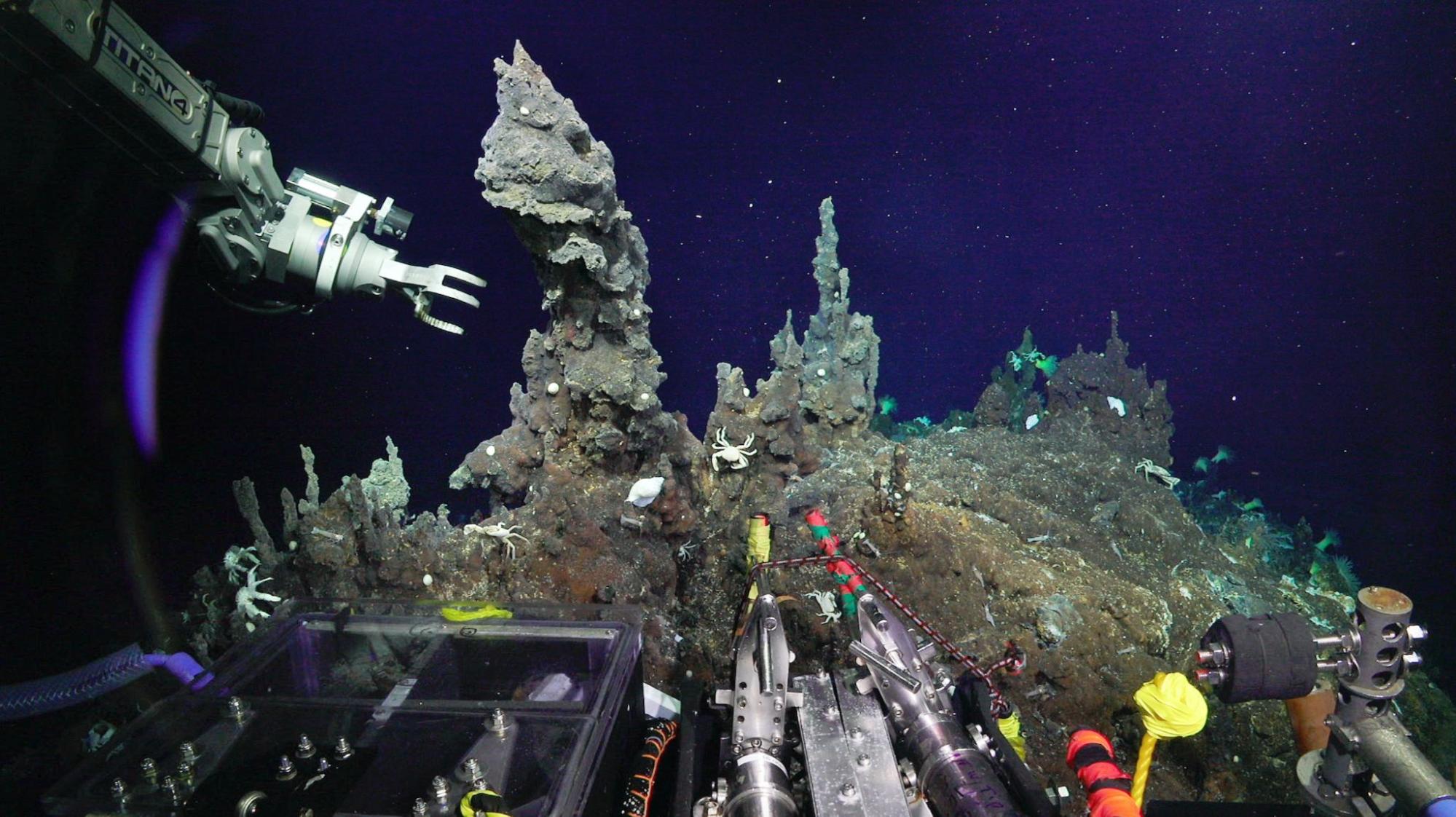 Schmidt Ocean Institute