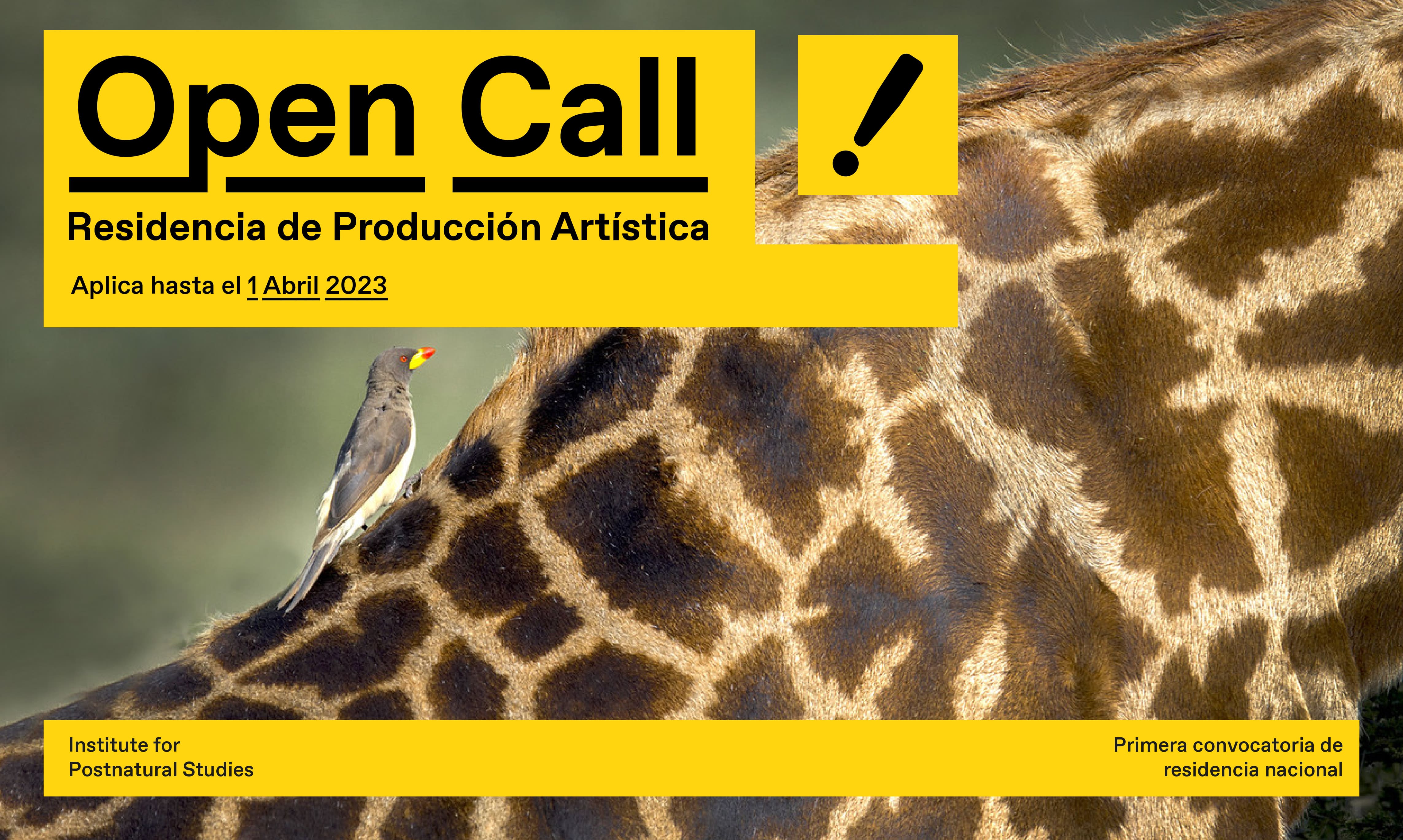 Open call IPS banner amarillo -min