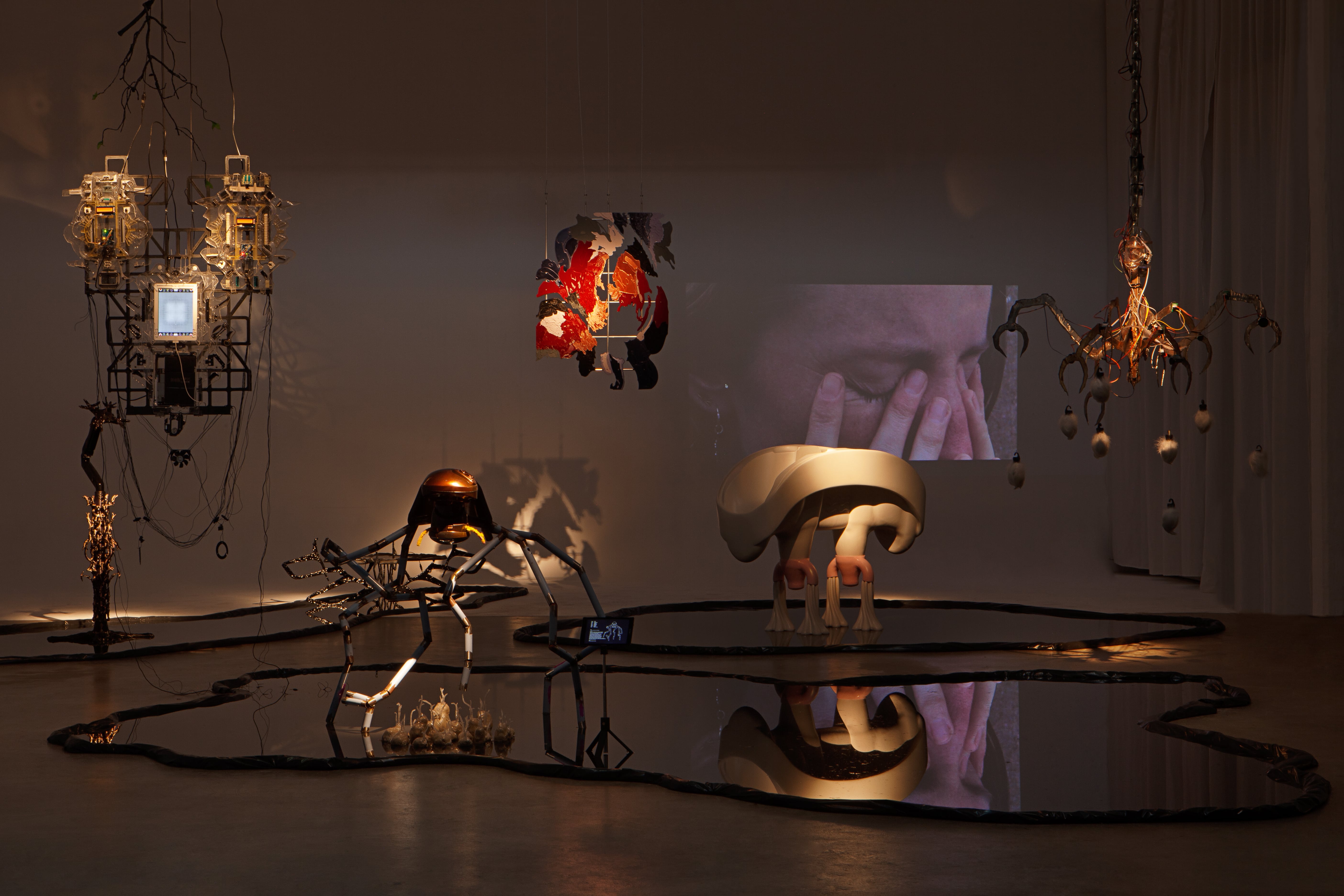 POOLSOFSWALLOWEDGROUND