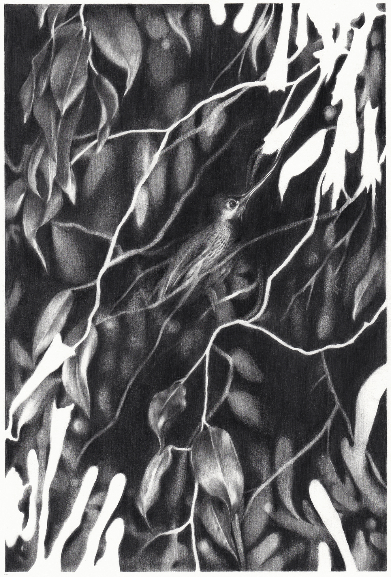 Spectral Futures Drawing by Marianne Hoffmeister 