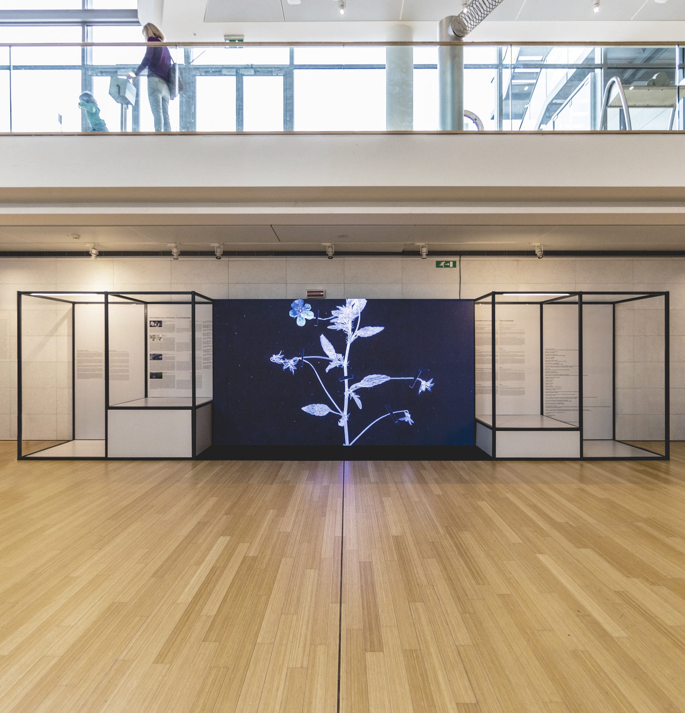 Muse 2024 AgoraPostNatural MichelePurin Web 7