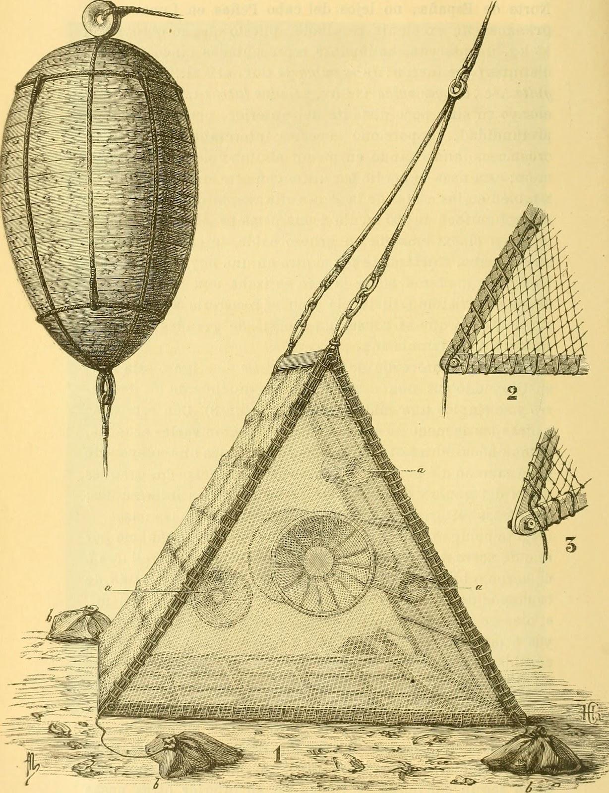 Polyhedral trap, in Annals of the Spanish Society of Natural History (1891)
