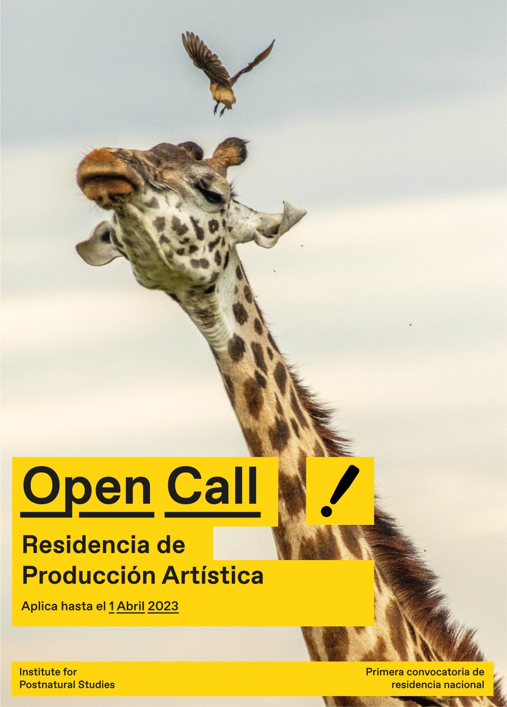 Open call IPS poster amarillo web -min
