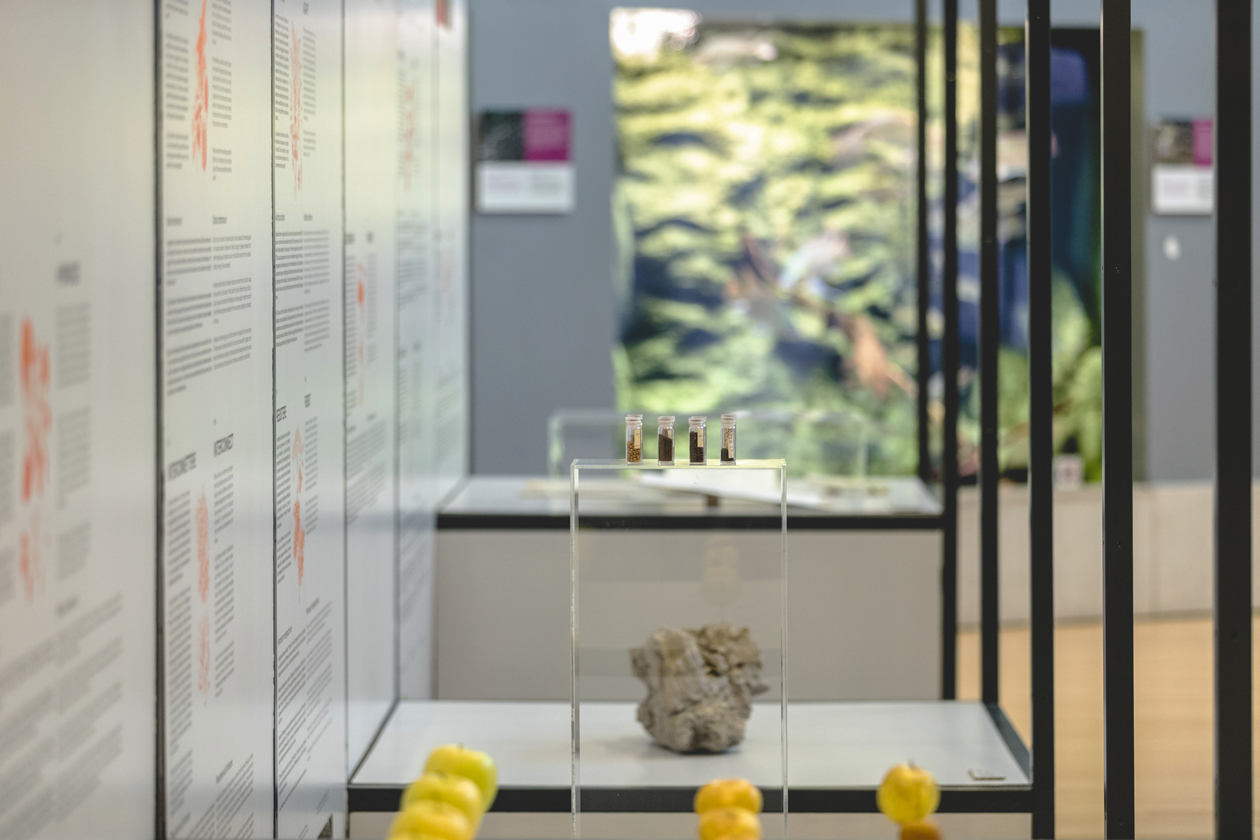 Muse 2024 AgoraPostNatural MichelePurin Web 43