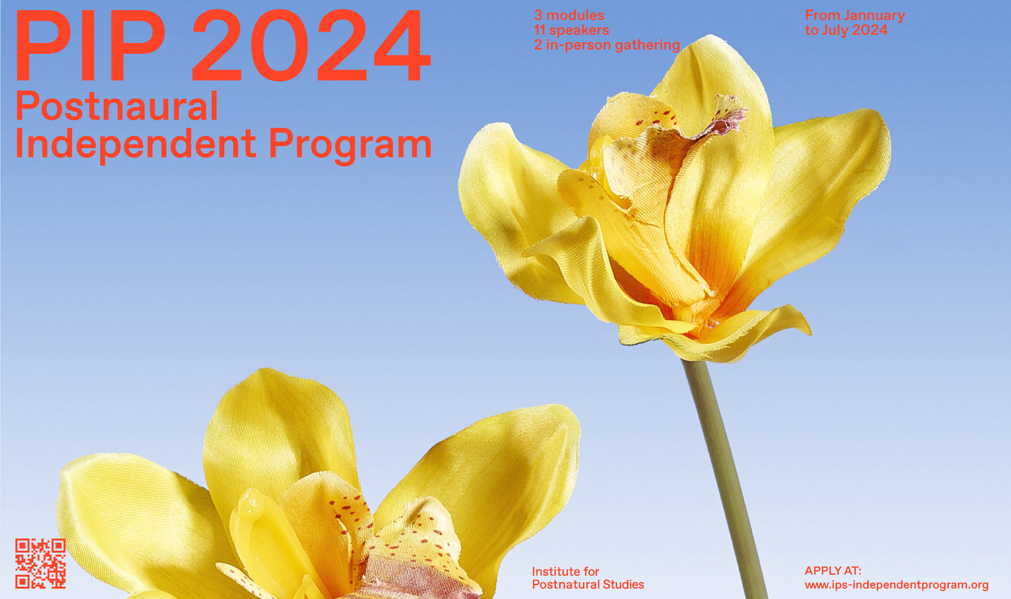 Postnatural Independent Program 2024 Institute For Postnatural Studies   IPS Image Web 2 