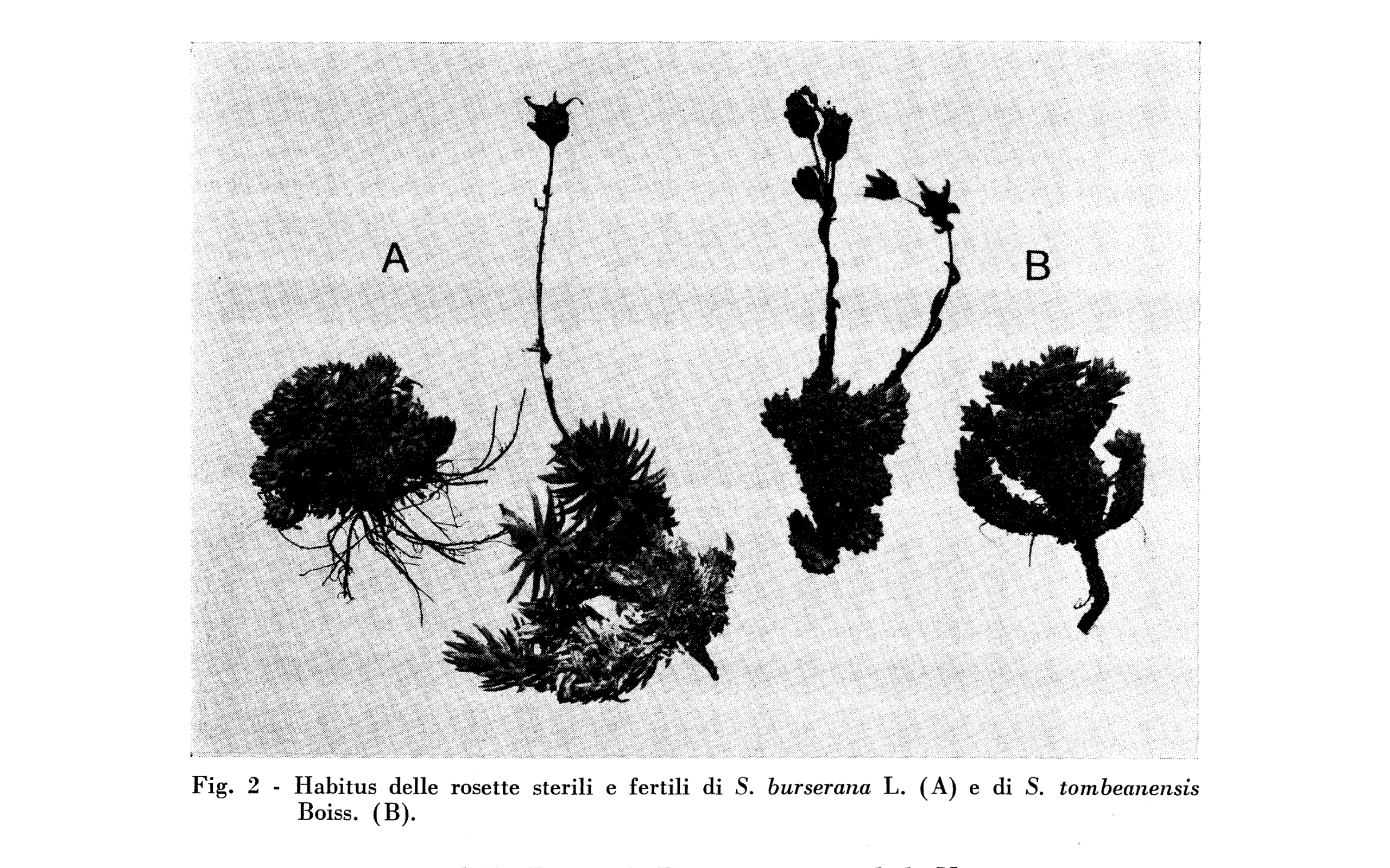 Captura de pantalla 2024-02-14 a las 17.17.17