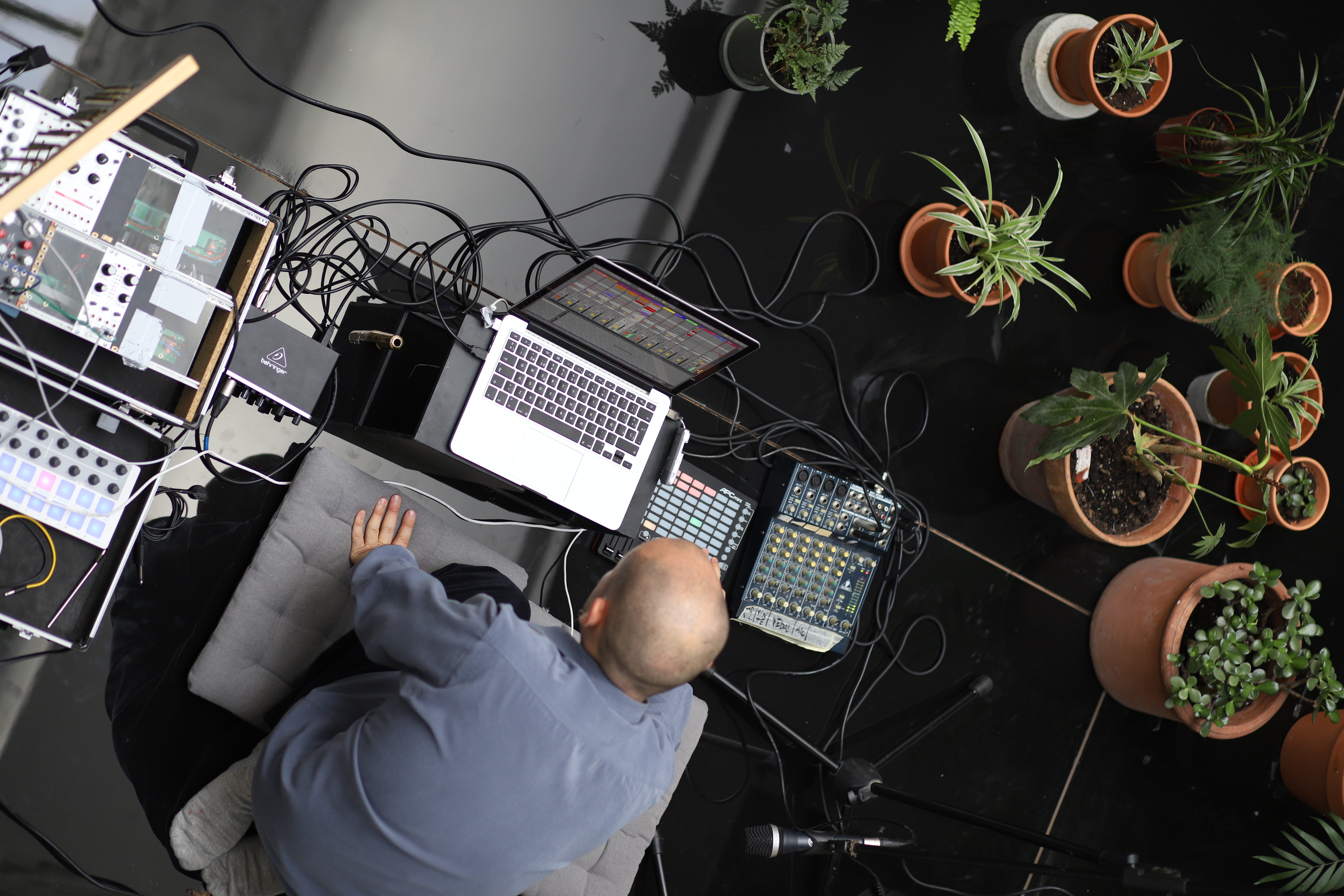 Concerto para plantas