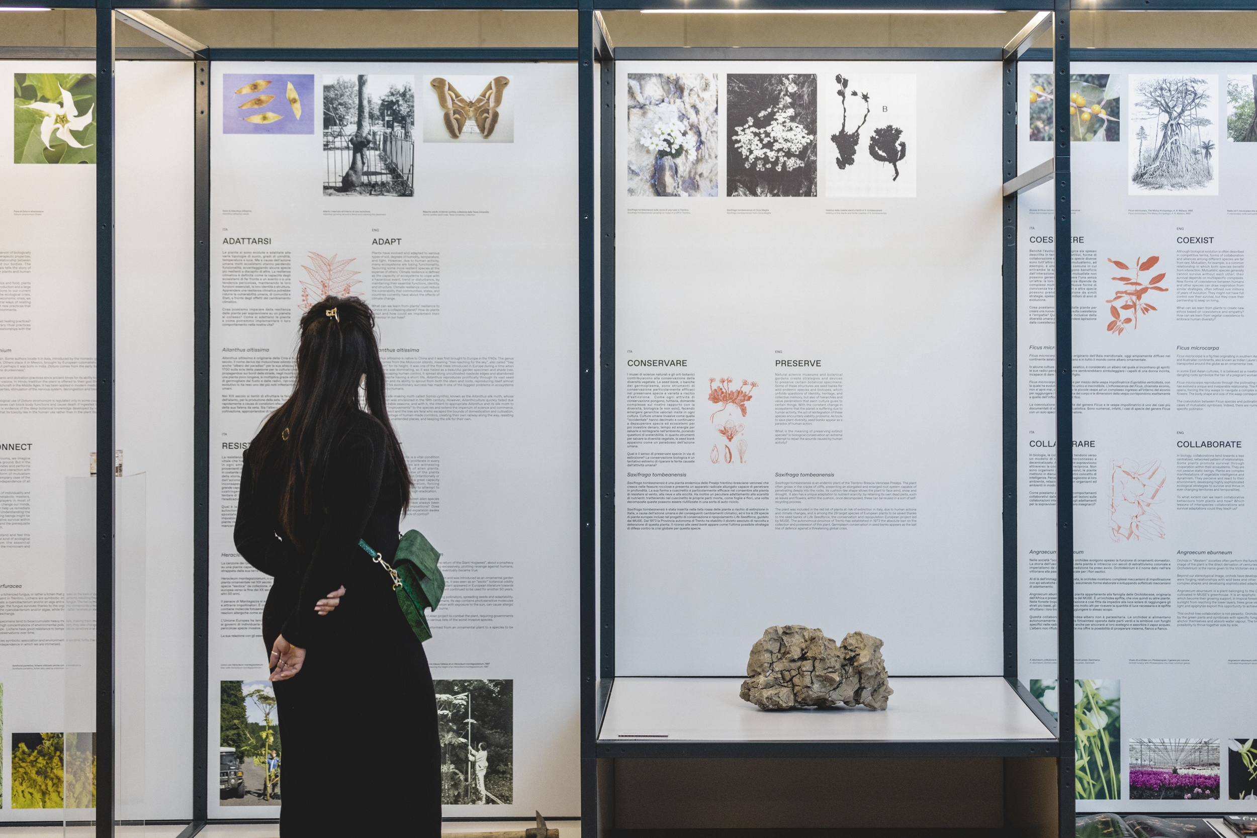 Muse 2024 AgoraPostNatural MichelePurin Web 40