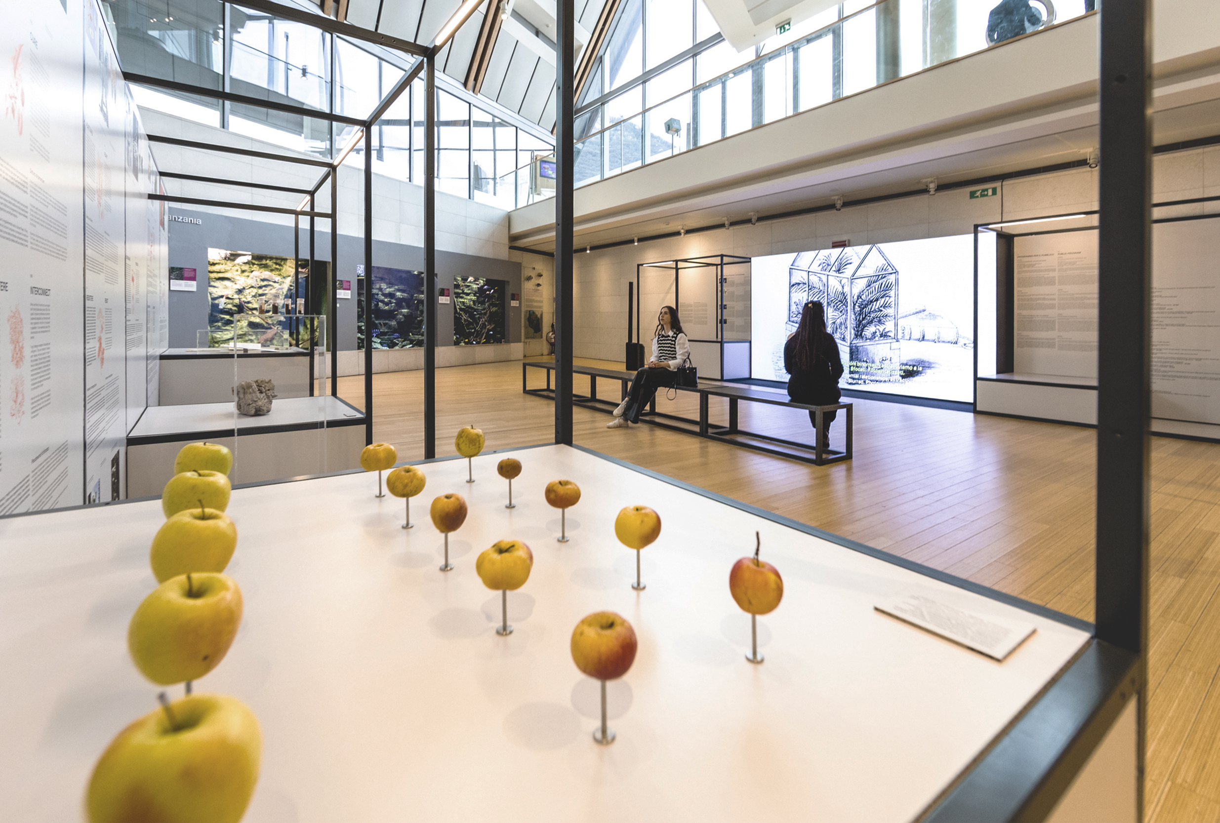 Muse 2024 AgoraPostNatural MichelePurin Web 11