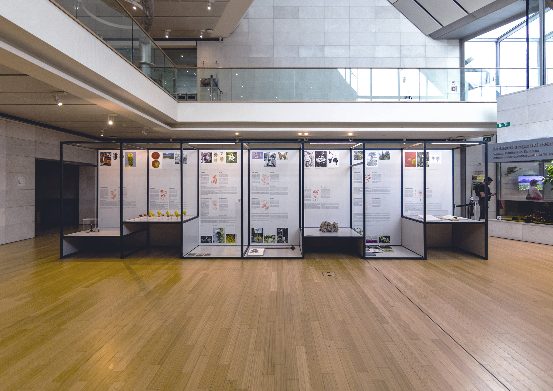 Muse 2024 AgoraPostNatural MichelePurin Web 2