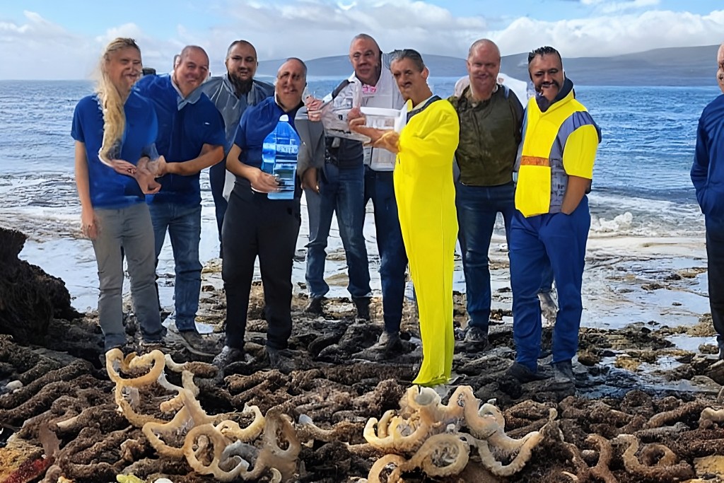 First octopus farm technology with data servers artificial intelligence in Canary Islands