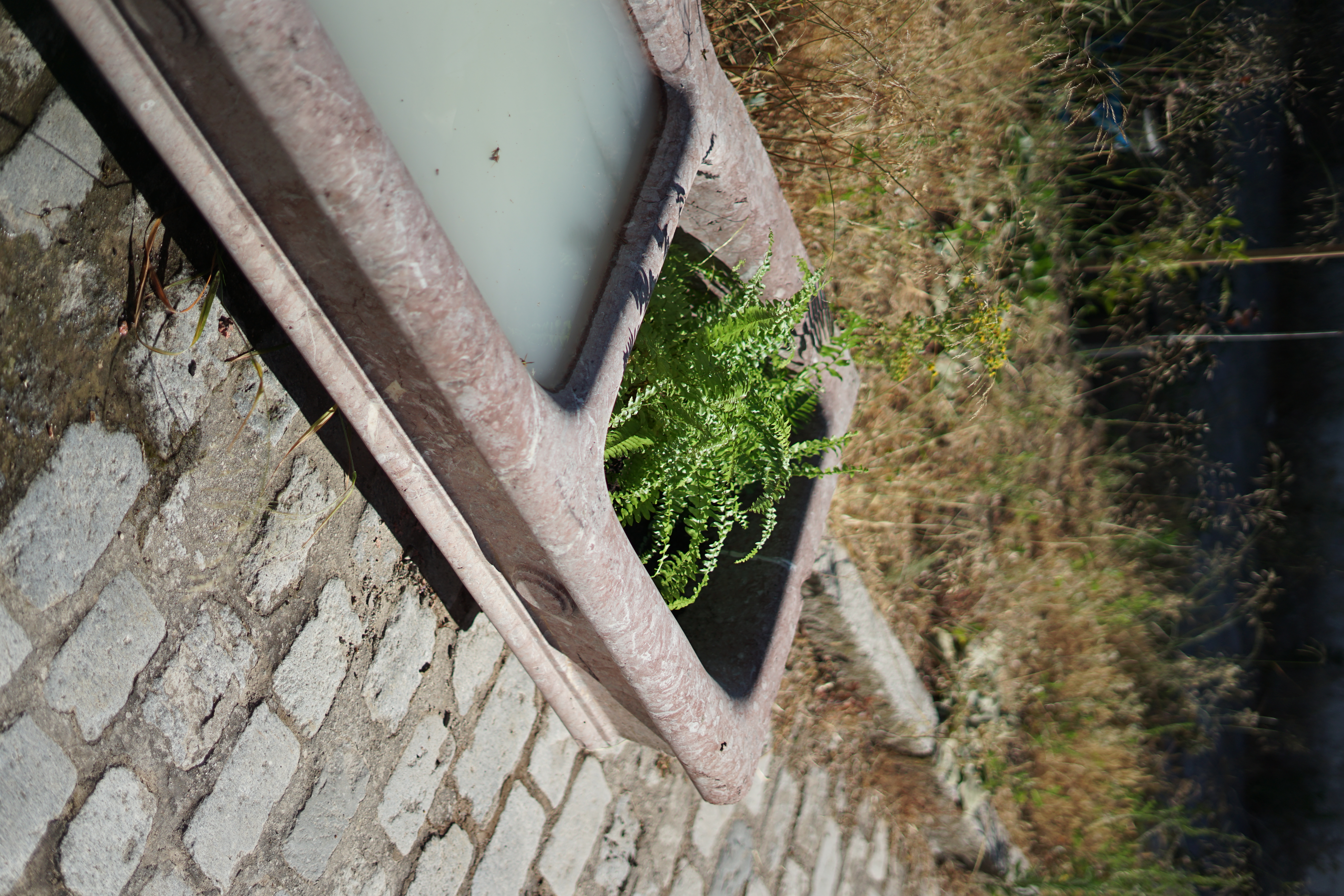 A thousand Blind Mammals. Photo Matteo Guarnaccia