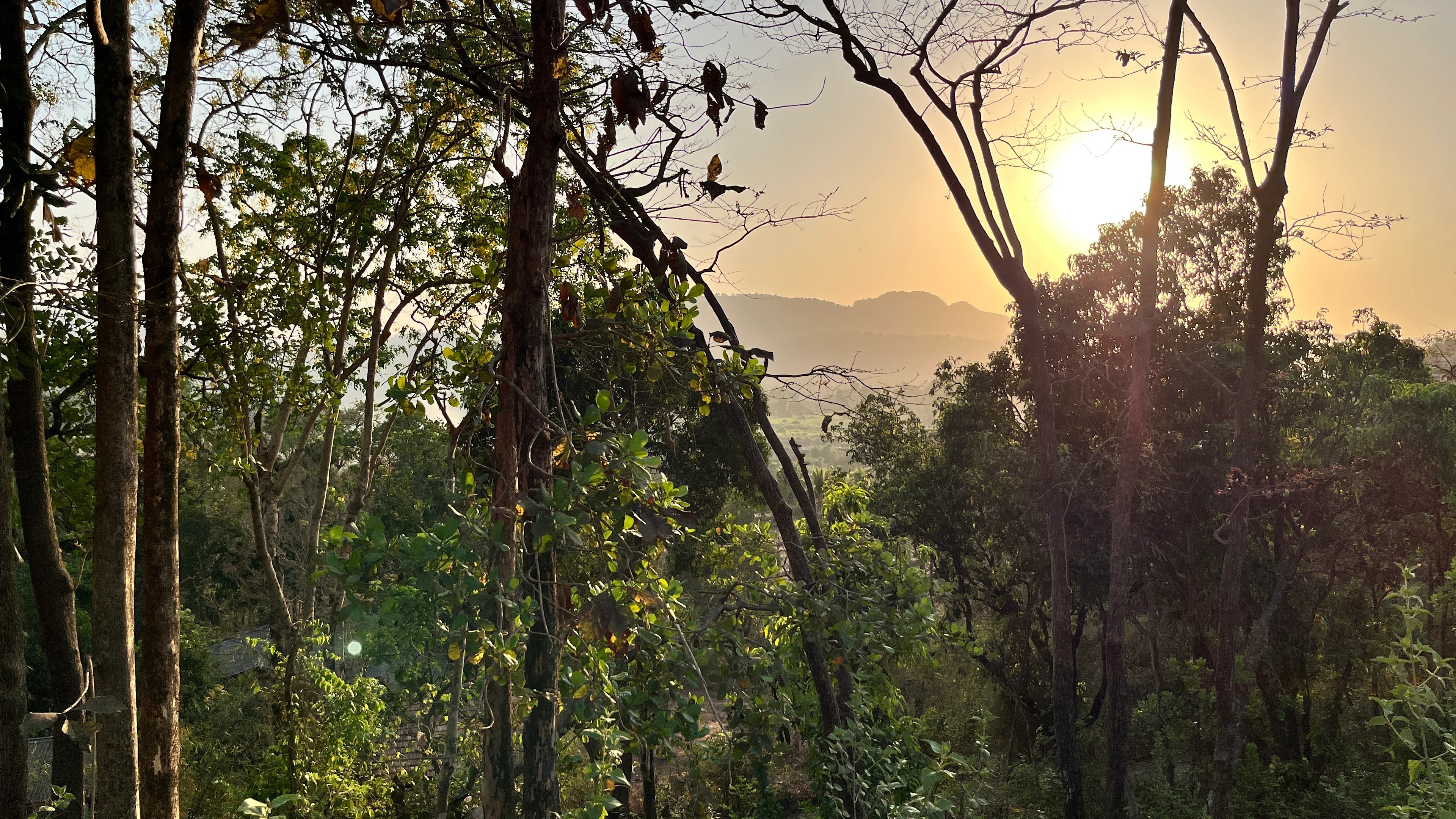 Evening, held still.