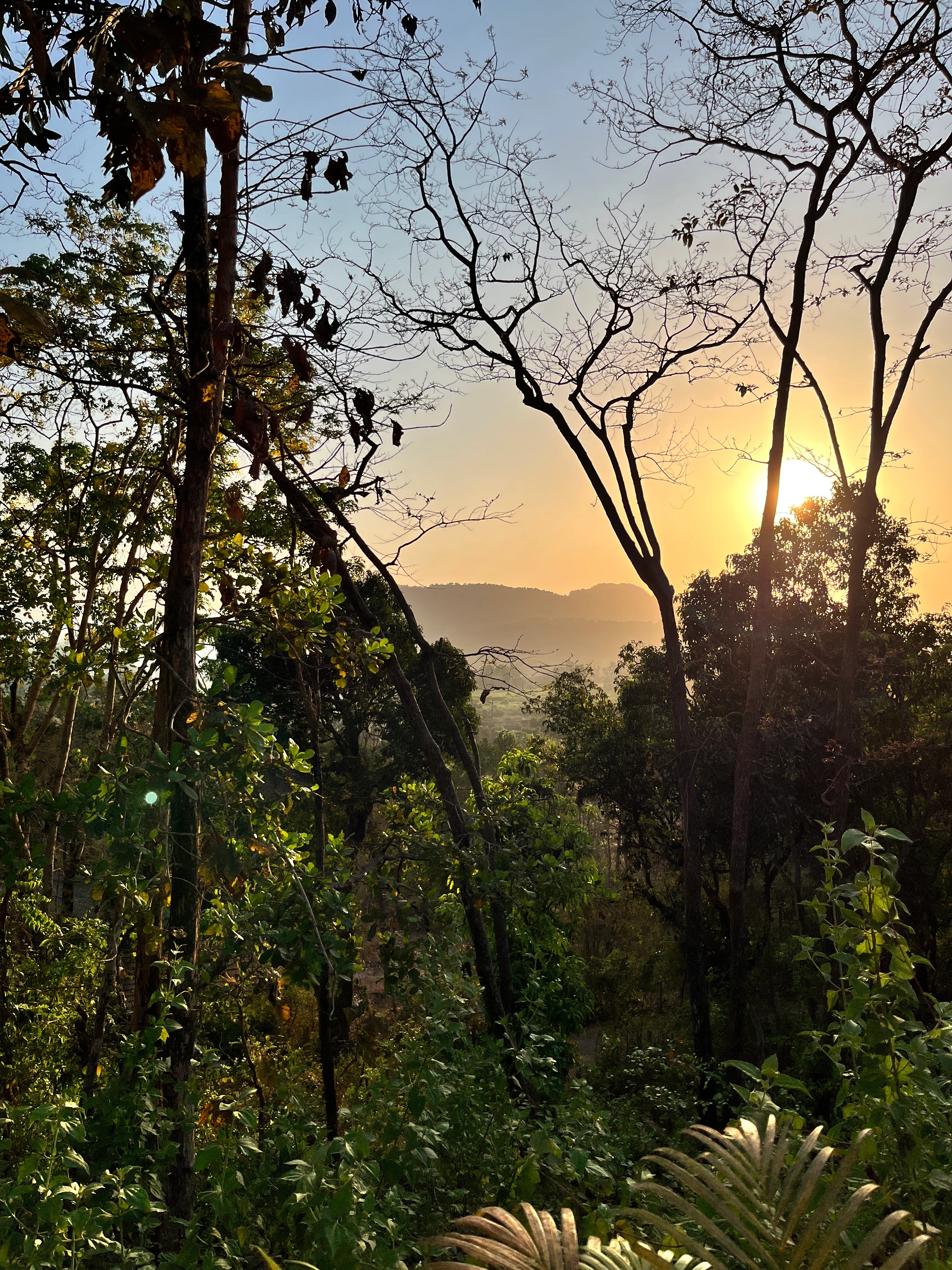 Golden hour, quietly.