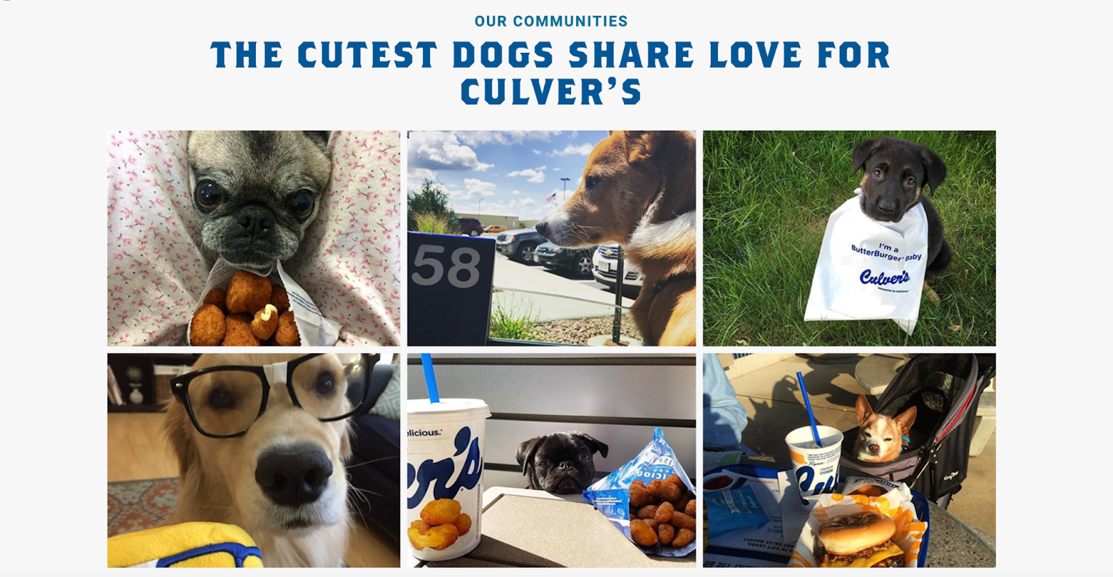 A grid of photos of dogs eating at Culver's