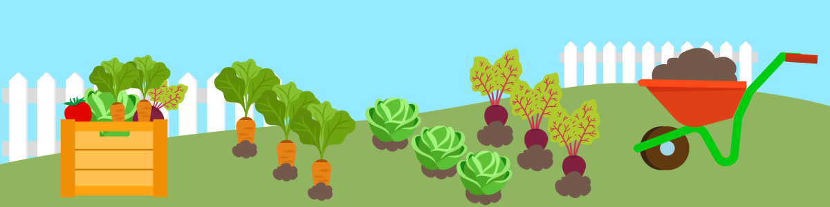 a visualization of a vegetable garden