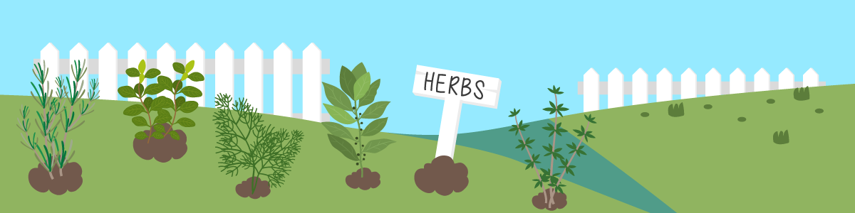 a visualization of an herb garden
