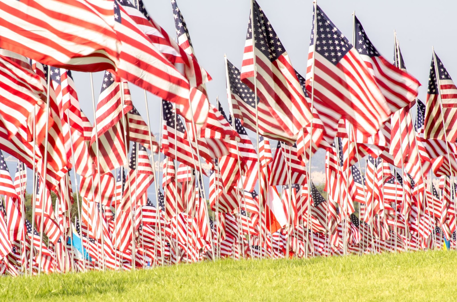 flags honoring memorial day