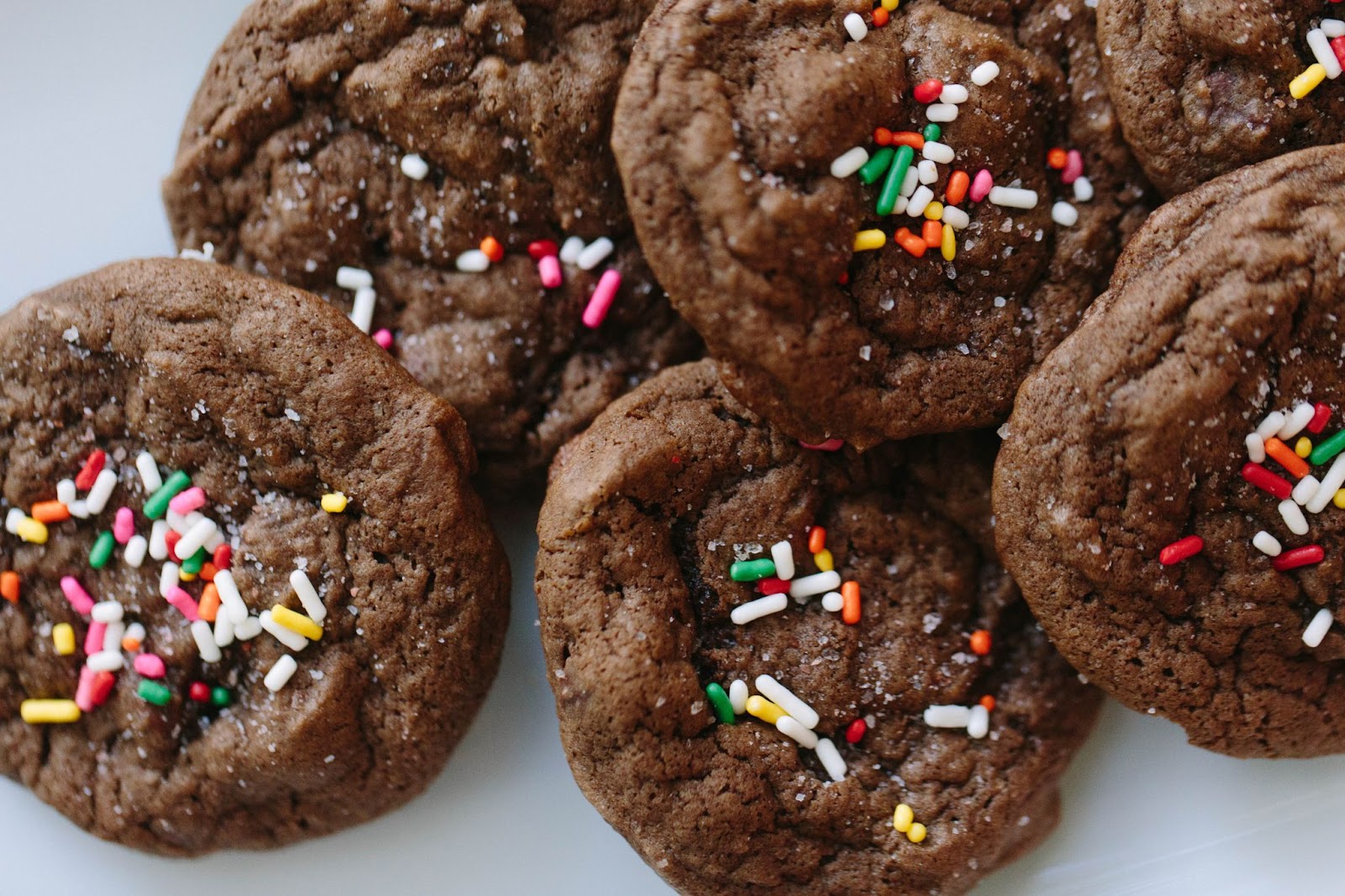 chocolate cookies with sprinkles