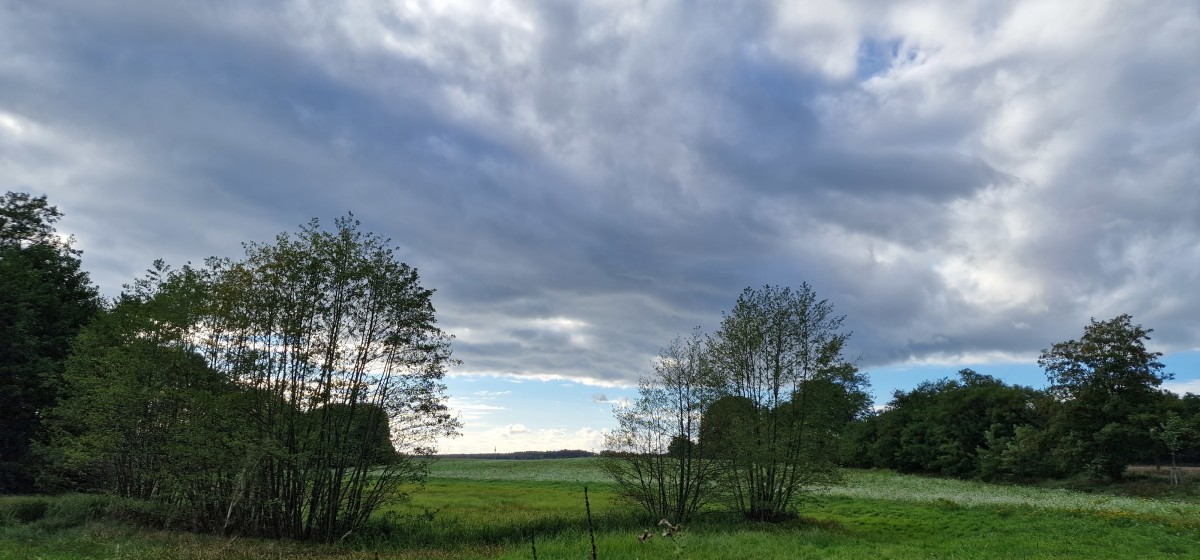 kreuzwerker Landpartie - Wiese