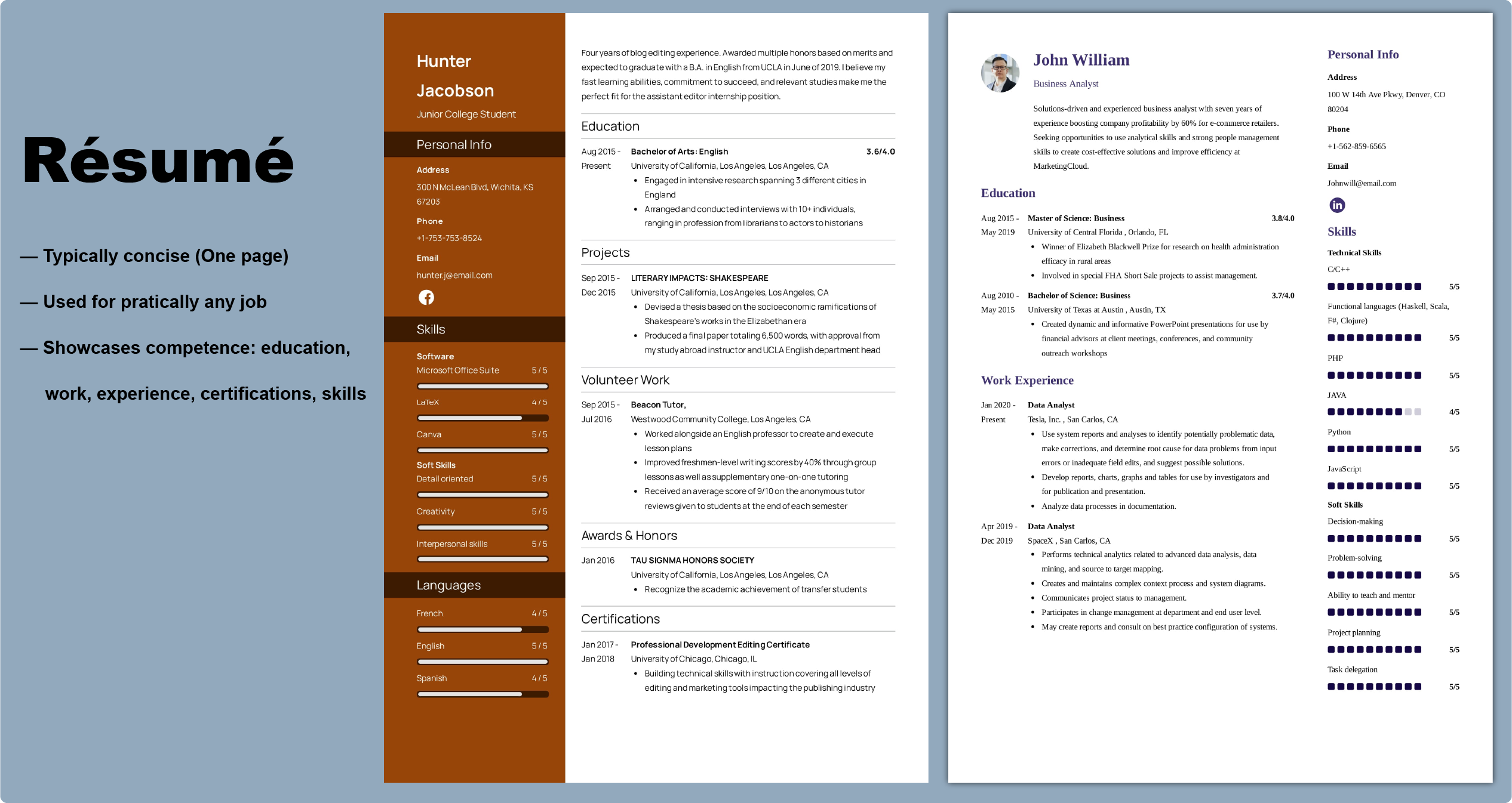 [fig 2] CV vs Resume