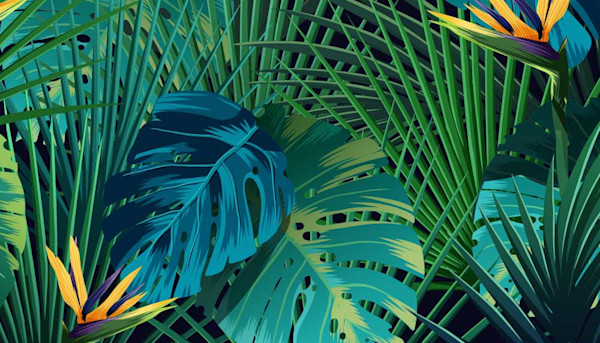 Royalty Free Vectors and Stock Vector Images - Shutterstock