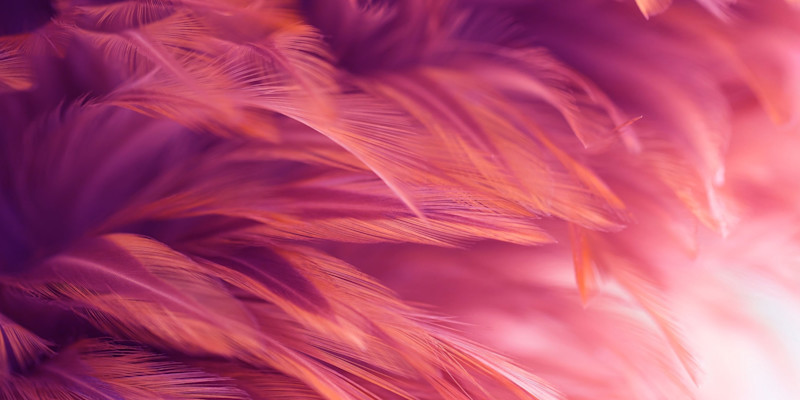 Shutterstock Free Trial Try Shutterstock For Free Shutterstock Free Trial Try Shutterstock For Free