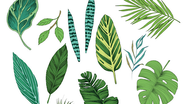 Clip-art Trending Image #4