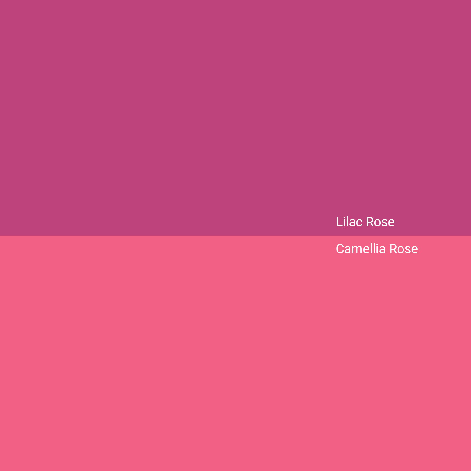 Color Rosa Lila - Combinaciones, Código HEX - Shutterstock, image size:1500x1500