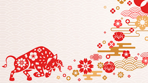 Vector Images And Royalty Free Vector Stock Shutterstock