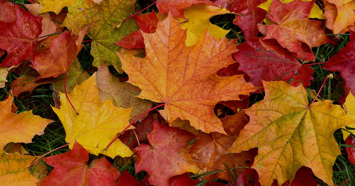 Autumn Images, Pictures, Photos - Autumn Photographs