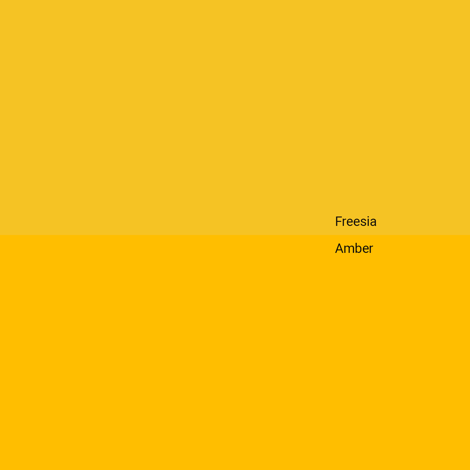 freesia-v-amber.jpg