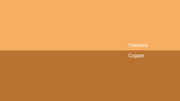 Chamois Color Code Chamois Color - Combinations, HEX Code - Shutterstock