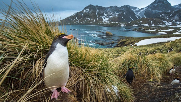 Documenting Climate Change Through Nature Photography